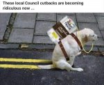 FB_IMG_1631712830007.jpg