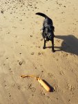 20210915_113829.jpg