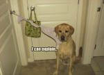 1631854117467.png