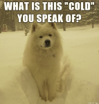 1631941261618.png