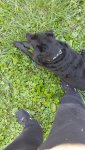 20210918_175704.jpg