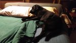 IMG_20210927_215347.jpg