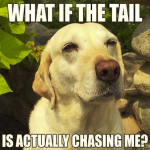 1632977618744.png