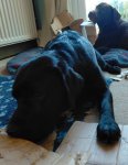 IMG20211001094629~3.jpg