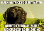 1633151029050.png