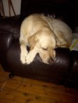 IMG_20211002_191546723.jpg