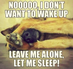 1633412693327.png