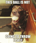 1633671077187.png