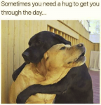 1634536106735.png