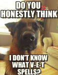 1634967156225.png