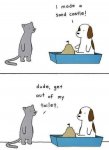FB_IMG_1635393392803.jpg