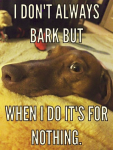 1635748291765.png