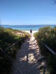 Walkway Callala.jpg