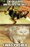 1636266169863.png