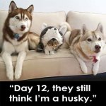FB_IMG_1636315014111.jpg