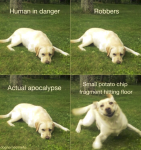 1636698406536.png