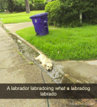 1636784871718.png