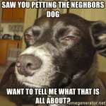 1636872086599.png