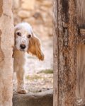 Poble Vell-5845-edit1195.jpg