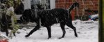 IMG_20211128_155645.jpg
