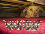 1638339982677.png