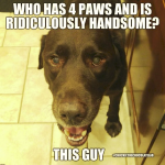 1638425413869.png