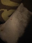 IMG20211202213056.jpg
