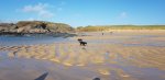 beach 1.jpg