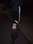 IMG_20181101_184405379.jpg