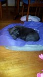20150617_175847.jpg 20150617_175847.jpg