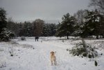B4522CB6-6EE1-4809-8040-A62F4CEE8802.jpeg