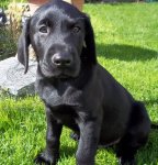 Sam, first day home 006 (2).JPG