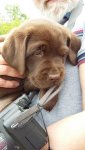 20160604_142337.jpg