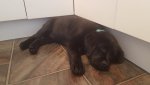 20160623_122108.jpg