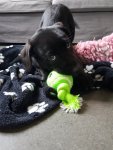 20181117_100451.jpg