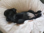 20181118_111619.jpg