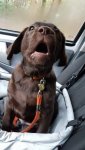 IMG-20171215-WA0002.jpg