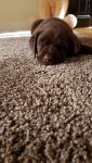 IMG-20171103-WA0002.jpg