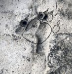 D085B67B-A4B8-4540-944E-289B6395FDD1.jpeg