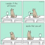 FB_IMG_1639301995592.jpg