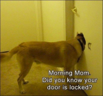 1639463513149.png