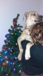 20211219_220604.jpg