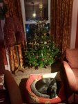 20211221_184125.jpg