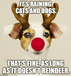 1640413681512.png