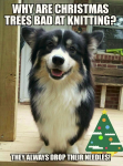 1640413789831.png