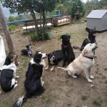 The Big 7.jpg