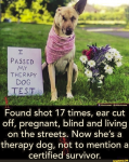 1640673157666.png