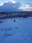 20220107_102607.jpg