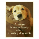 1641624170679.png