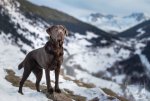 Snow-0005-edit1315.jpg